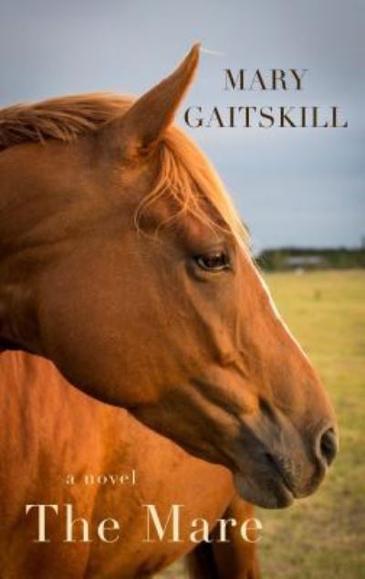 Cover for Mary Gaitskill · The mare (Book) [Large print edition. edition] (2016)