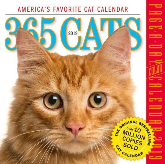 Cover for Workman Publishing · 2019 365 Cats Colour Page-A-Day Calendar (Paperback Book) (2018)