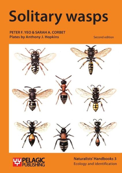 Cover for Sarah a Corbet · Solitary Wasps (Reprint) (Pocketbok) (2015)