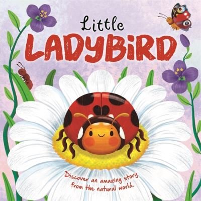 Cover for Autumn Publishing · Little Ladybird - An illustrated story about the life-cycle of a ladybird (Tavlebog) (2024)