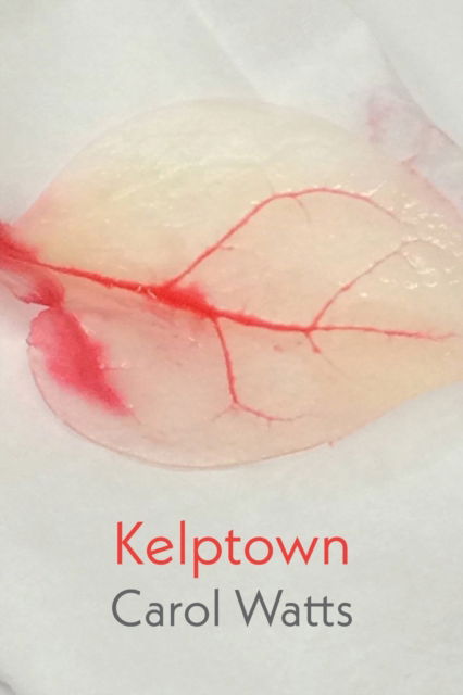 Cover for Carol Watts · Kelptown (Taschenbuch) (2020)