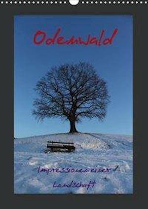 Cover for Kropp · Odenwald - Impressionen einer Lan (Book)