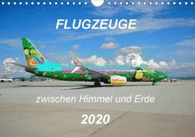 Cover for Merz · Flugzeuge zwischen Himmel und Erde (Buch)