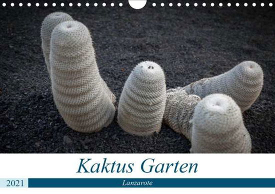 Cover for Krieger · Kaktus Garten Lanzarote (Wandka (Bog)