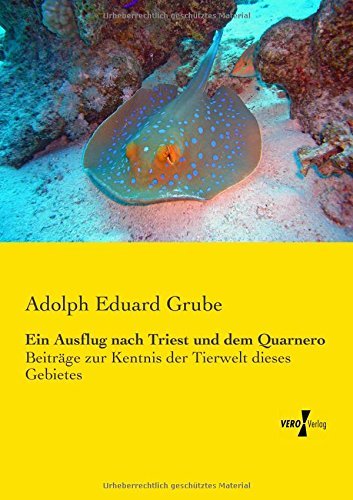Cover for Adolph Eduard Grube · Ein Ausflug Nach Triest Und Dem Quarnero: Beiträge Zur Kentnis Der Tierwelt Dieses Gebietes (Paperback Book) [German edition] (2019)