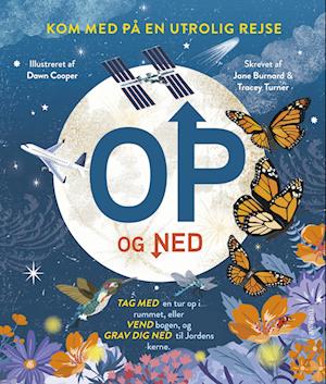 Cover for Jane Bernard &amp; Tracey Turner · Op og ned (Gebundenes Buch) [1. Ausgabe] (2023)