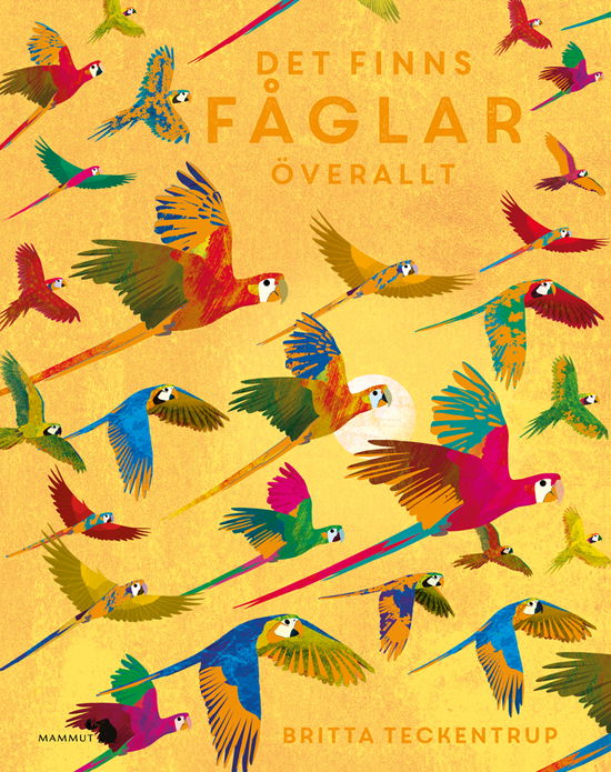 Cover for Camilla De La Bedoyere · Det finns fåglar överallt (Innbunden bok) (2023)