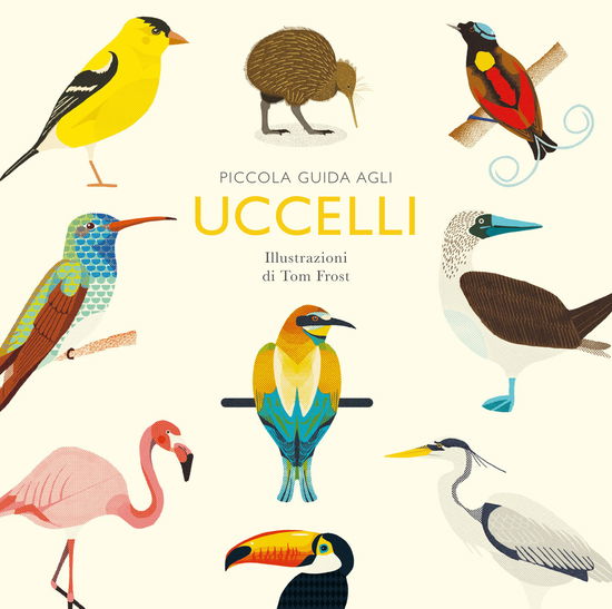 Cover for Alison Davies · Piccola Guida Agli Uccelli. Ediz. Illustrata (Book)