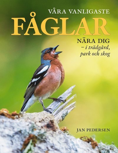 Cover for Jan Pedersen · Våra vanligaste fåglar nära dig : i trädgård, park och skog (Gebundesens Buch) (2022)