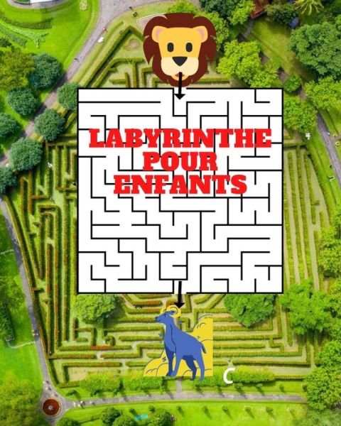 Cover for MD Maze · Labyrinthe Pour Enfants (Paperback Book) (2020)