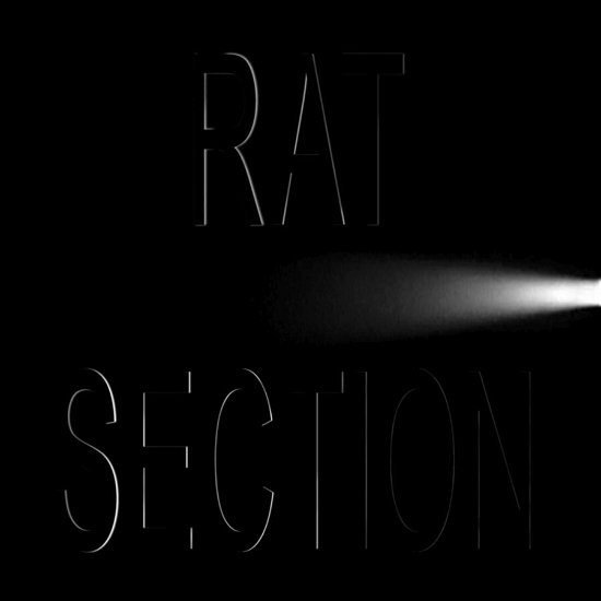Cover for Rat Section · What Stays In Vegas (CD) (2023)