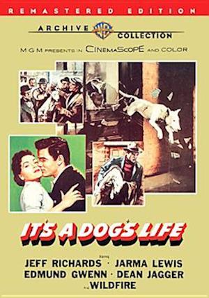 Cover for It's a Dog's Life (DVD) [Remastered edition] (2011)