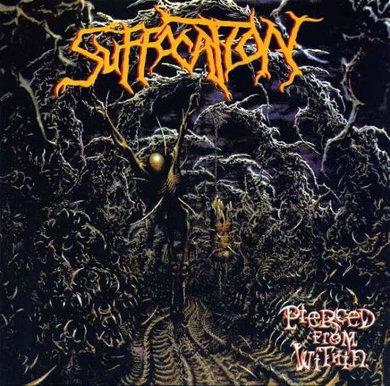 Cover for Suffocation · Pierced from Within (LP) (2016)