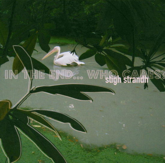 Cover for Stigh Strandh · Stigh Strandh-who Cares ? (CD) (2003)