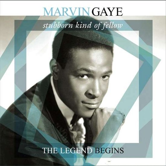 Gaye, Marvin - Stubborn Kind Of.. - Music - VINYL PASSION - 8719039000340 - October 9, 2015
