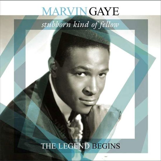 Gaye, Marvin - Stubborn Kind Of.. - Música - VINYL PASSION - 8719039000340 - 9 de octubre de 2015