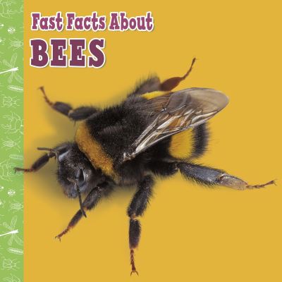 Cover for Lisa J. Amstutz · Fast Facts About Bees - Fast Facts About Insects and Spiders (Hardcover Book) (2021)