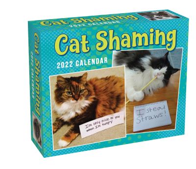 Cat Shaming 2022 Day-to-Day Calendar - Pedro Andrade - Merchandise - Andrews McMeel Publishing - 9781524863340 - September 14, 2021