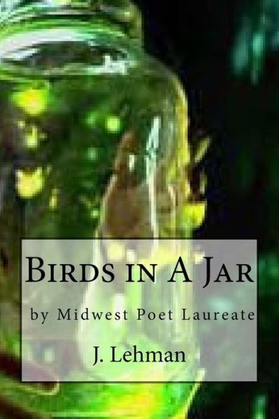 Cover for J Lehman · Birds in a Jar (Paperback Book) (2016)