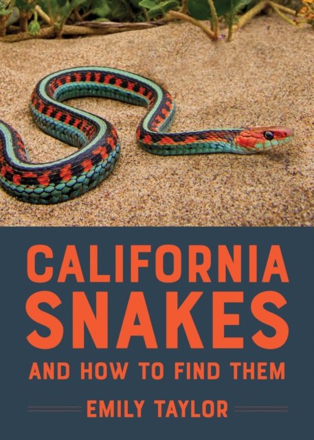 California Snakes and How to Find Them - Emily Taylor - Boeken - Heyday Books - 9781597146340 - 20 juni 2024