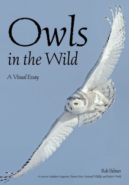 Cover for Rob Palmer · Owls In The Wild: A Visual Essay (Paperback Book) (2018)