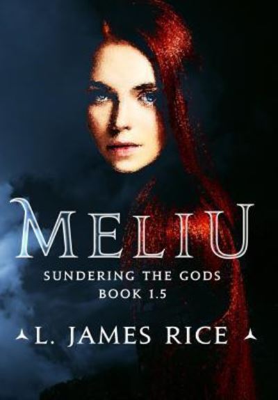 Cover for L James Rice · Meliu (Hardcover Book) (2019)