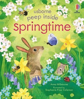 Cover for Anna Milbourne · Peep Inside Springtime - Peep Inside (Board book) (2023)