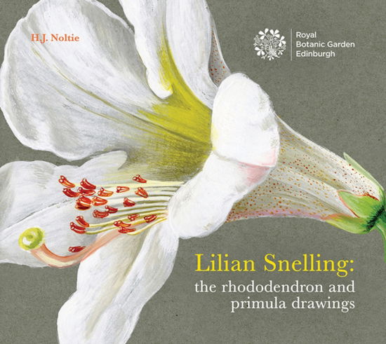 Lillian Snelling: The Rhododendron and Primula Drawings - Henry Noltie - Books - Trafalgar Square - 9781910877340 - April 10, 2020