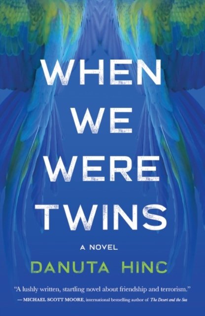 Cover for Danuta Hinc · When We Were Twins (Hardcover Book) (2023)
