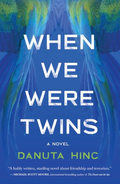 Cover for Danuta Hinc · When We Were Twins (Innbunden bok) (2023)