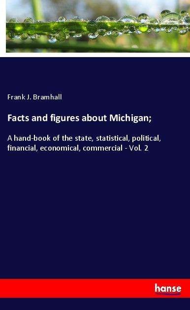 Cover for Doyle Bramhall · Facts and figures about Michig (Buch)