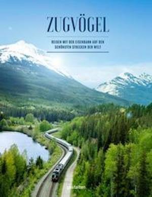 Zugvögel - Monisha Rajesh - Livros - Gestalten - 9783967040340 - 15 de outubro de 2021