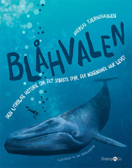 Cover for Andreas Tjernshaugen · Blåhvalen (Hardcover Book) [1er édition] (2020)