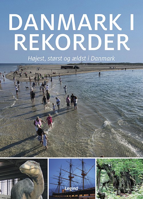 Cover for Jørgen Hansen · Danmark i rekorder (Bound Book) [1st edition] (2020)
