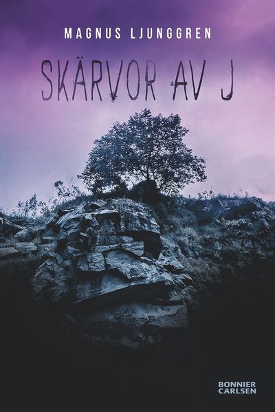 Cover for Magnus Ljunggren · Skärvor av J (ePUB) (2014)