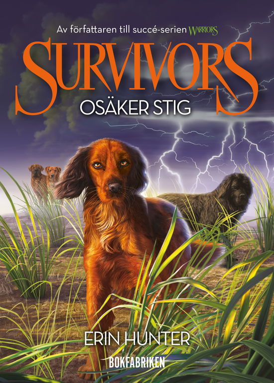 Survivors 1:4 Osäker stig - Erin Hunter - Boeken - Bokfabriken - 9789180315340 - 16 mei 2024