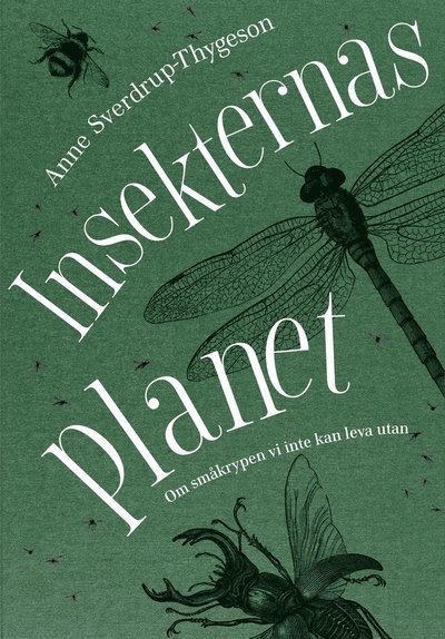 Cover for Anne Sverdrup-Thygeson · Insekternas planet : Om småkrypen vi inte kan leva utan (Bound Book) (2019)