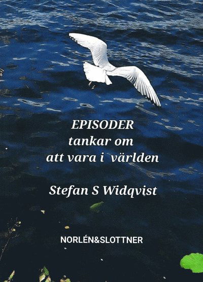 Cover for Stefan S Widqvist · EPISODER ? Tankar om att vara i världen (Buch) (2023)