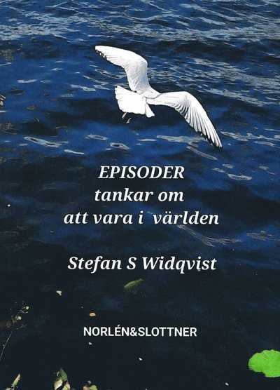Cover for Stefan S Widqvist · EPISODER ? Tankar om att vara i världen (Bok) (2023)