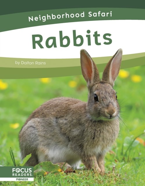 Cover for Dalton Rains · Neighborhood Safari: Rabbits (Taschenbuch) (2024)