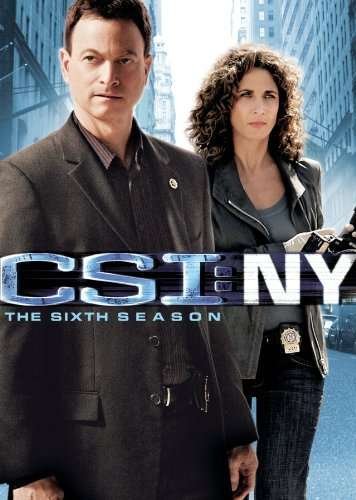 Cover for Csi: Ny - Sixth Season (DVD) (2010)