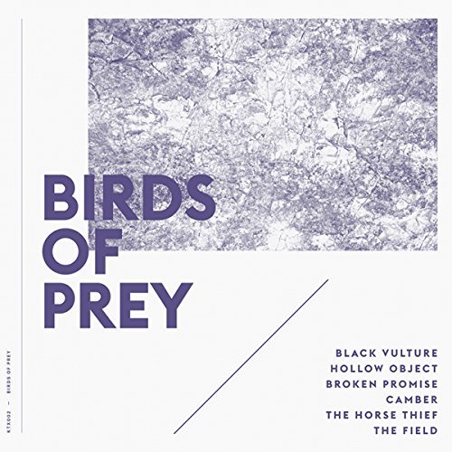 Cover for Birds of Prey (LP) (2015)