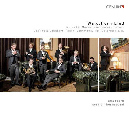 Wald.horn.lied - Goldmark,k. / Hornsound,german - Música - GEN - 4260036254341 - 10 de junio de 2016