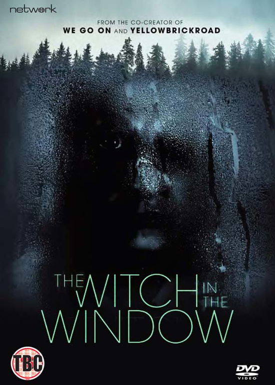 Cover for The Witch in the Window (DVD) (2019)