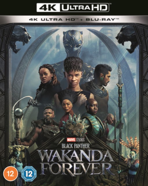 Cover for Ryan Coogler · Black Panther: Wakanda Forever (Blu-ray) (2023)