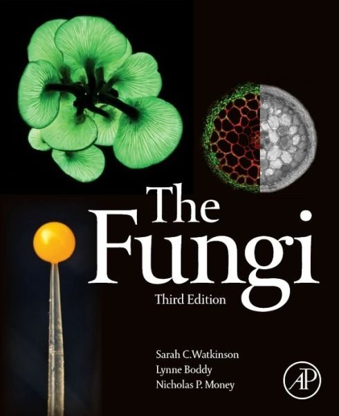 Cover for Watkinson, Sarah C. (University of Oxford, UK) · The Fungi (Paperback Bog) (2015)