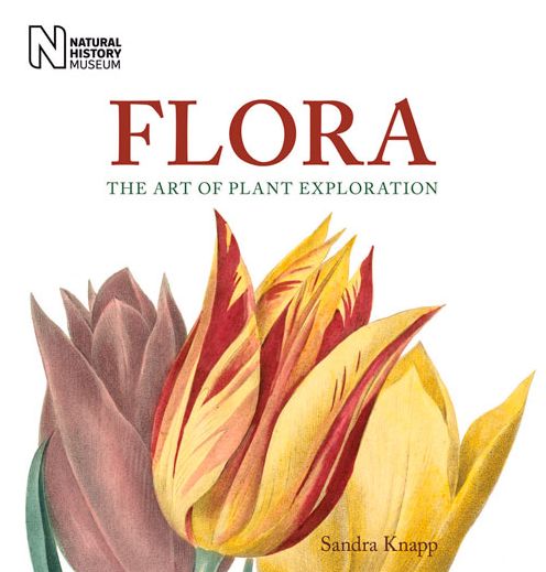 Cover for Sandra Knapp · Flora: The Art of Plant Exploration (Inbunden Bok) [Resized and retitled edition of Potted Histories edition] (2014)