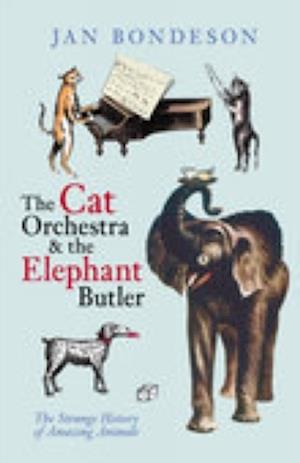 Cover for Jan Bondeson · Cat Orchestra and the Elephant Butler (Paperback Book) [UK edition] (2006)