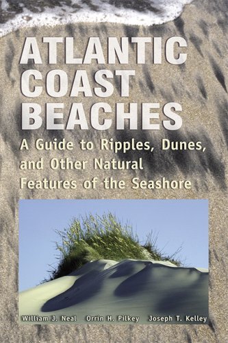 Atlantic Coast Beaches: a Guide to Ripples, Dunes, and Other Natural Features of the Seashore - William Neal - Livros - Mountain Pr - 9780878425341 - 1 de maio de 2007