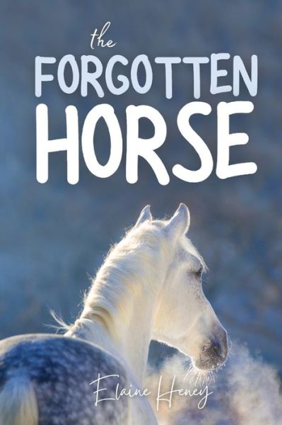 Cover for Elaine Heney · The Forgotten Horse: Book 1 in the Connemara Horse Adventure Series for Kids. The perfect gift for children age 8-12. - Connemara Horse Adventures (Paperback Book) (2022)